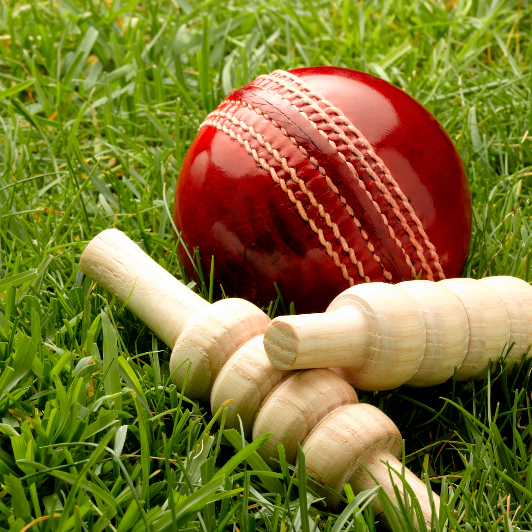 Woodford Cricket ball sponsorship